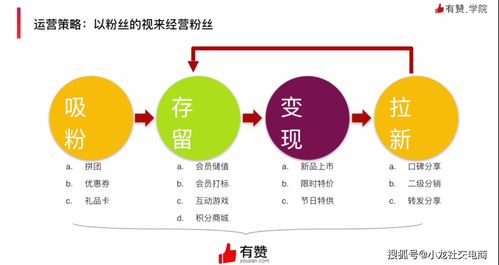 齊峰果業(yè) 從傳統(tǒng)農(nóng)業(yè)到品牌電商的戰(zhàn)略跨越與運營策略解析